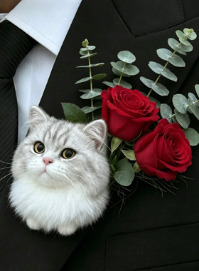 挂件宠物来图定制包挂胸针玩偶成品纯手工羊毛毡礼物悬挂定制仿真