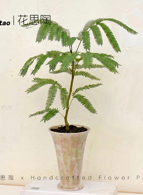潮州花思陶陶瓷北欧风绿植花盆
