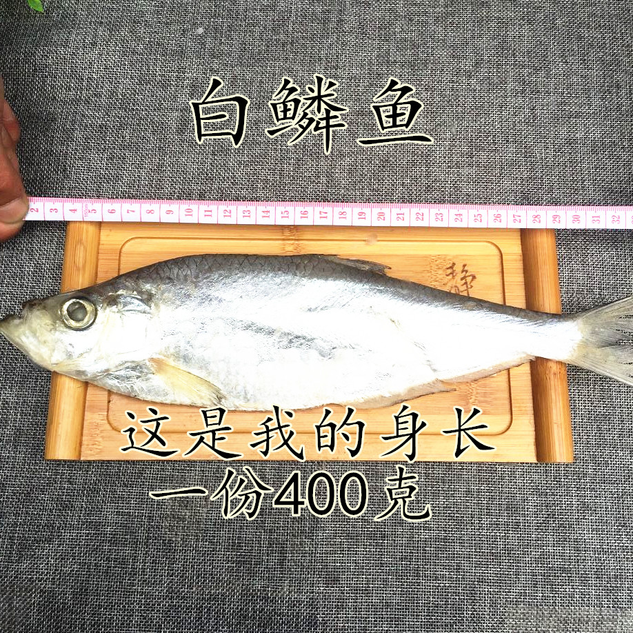 白鳞鱼咸鱼1000g咸鱼干咸香鱼清蒸鱼海鱼白磷鱼5成干 - 图3