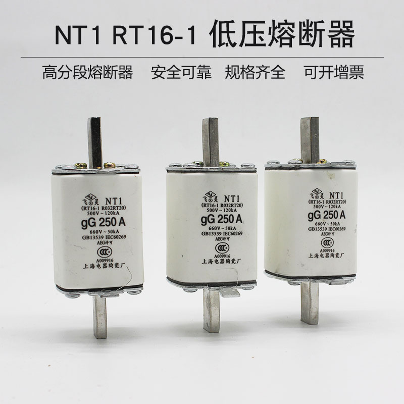 NT1-250 RT16-1 熔断器 gG160A  200A  250A插入式熔芯 陶瓷 - 图1