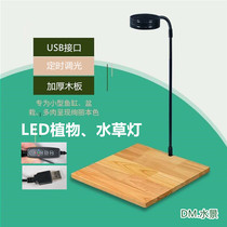 LED water straw light simple wood plant light USB timing dimming desktop fish tank lamp moss bottle lighting plant growth lamp