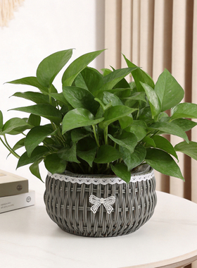 仿藤编手工编织花篮桌面绿植花盆