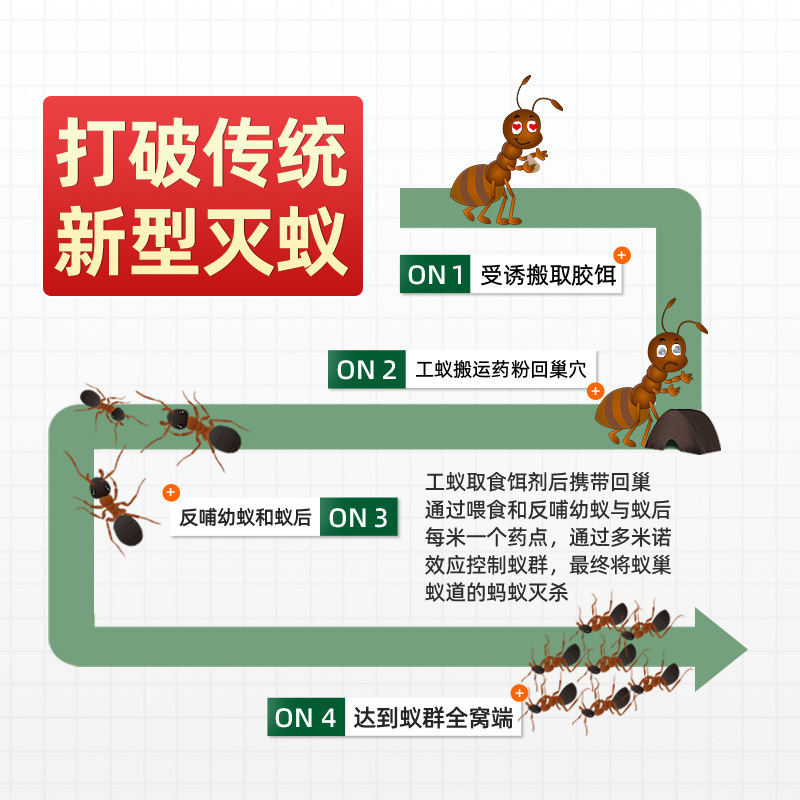 蚂蚁药蟑螂药家用全窝端非无毒厨房室内除杀消灭蚂蚁净杀虫粉饵剂 - 图1