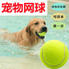 Dog toy balls that are resistant to grinding teeth and self-satisfaction and relieve boredom