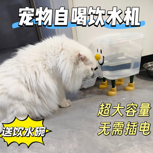 宠物饮水器猫咪饮水机不插电加厚狗狗自动饮水器水桶大容量猫喝水 - 图0