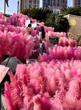 粉色芦苇量大优惠婚庆软装永生花
