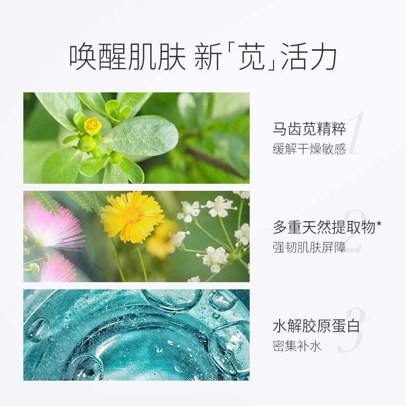 孔凤春马齿苋补水洗脸喷雾水爽肤水 孔凤春化妆品化妆水/爽肤水