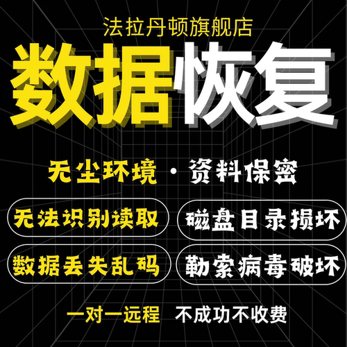 电脑机械移动硬盘数据恢复维修服务U盘内存sd卡视频文件远程修复-图0