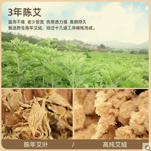 摩飞艾灸盒随身灸MF2101无烟便携式艾贴神器养生熏蒸仪专用艾贴片 - 图3