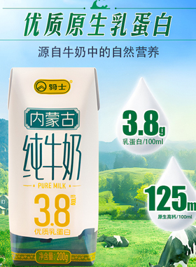 骑士内蒙古纯牛奶3.8克乳蛋白