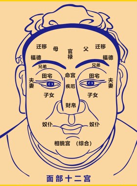 流年运气面相图装饰贴