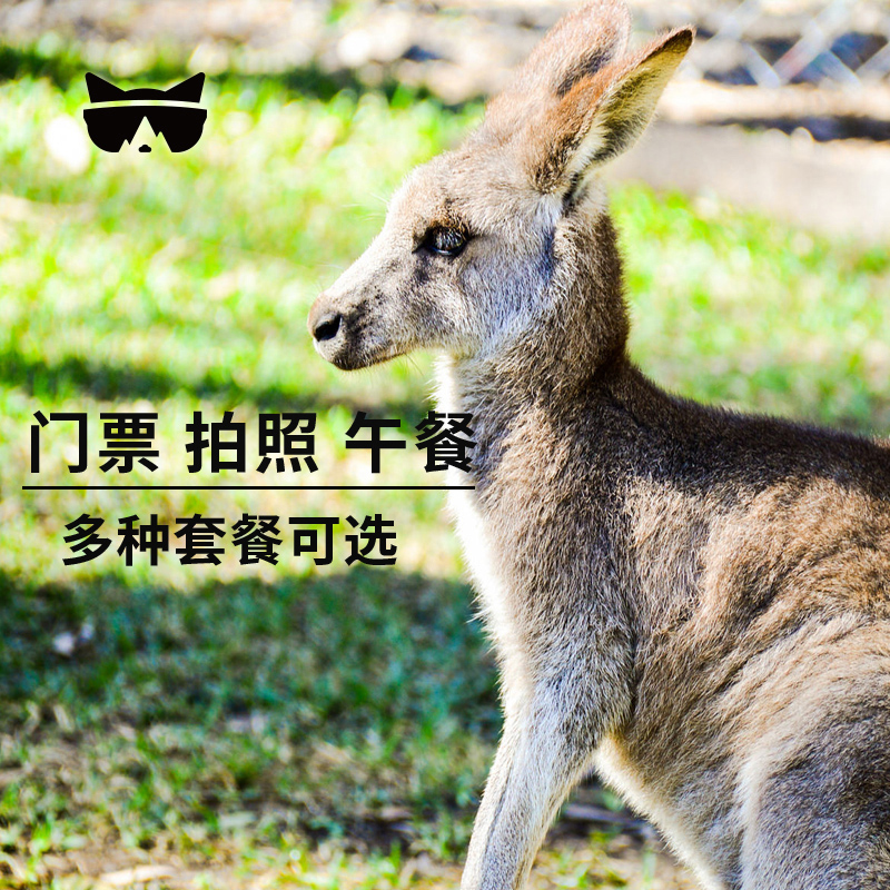 抱考拉拍照照相 澳洲旅游黄金海岸可伦宾门票 懒猫 秒出扫码入园 抱考拉拍照照相 澳洲旅游黄金海岸可伦宾门票 懒猫 秒出扫码入园