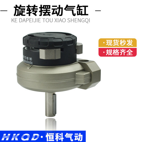 旋转摆动气动气缸系列DSR-25-180  叶片式摆动气缸 - 图2