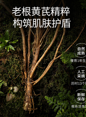 胖东来同款黄芪面霜与辉同行推荐