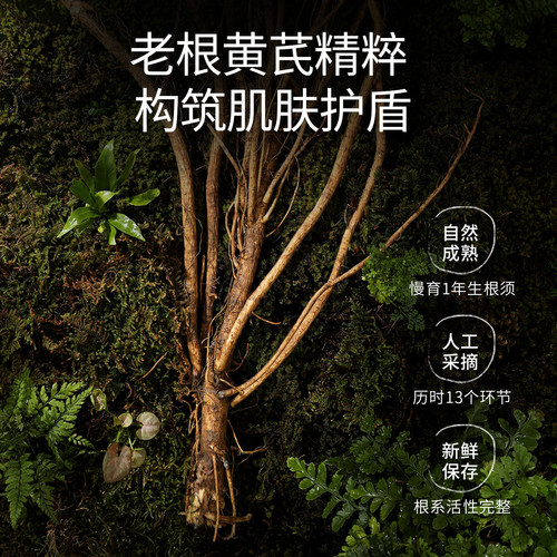 【谭松韵同款】多瓶-春娟黄芪面霜30g老牌国货干松垮提升光泽感 - 图1