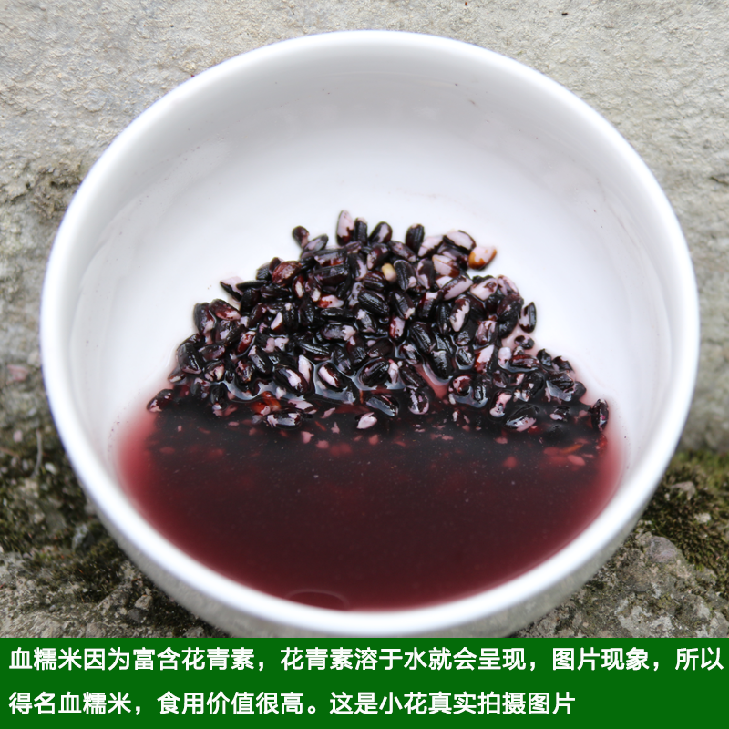 新米黑糯米农家血糯米1000g紫米无污染黑糯米老品种原产地黑糯米 - 图1