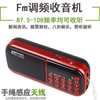 Jinzheng Portable Dual Card Singing and Opera Music Player