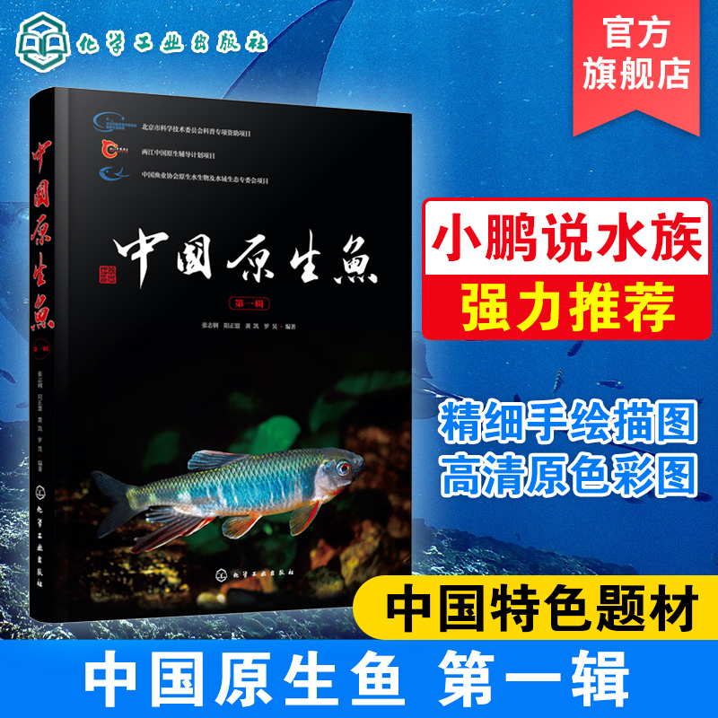 中国原生鱼第一辑中国特色原生鱼种类介绍书籍观赏鱼原生观赏鱼图鉴书淡水鱼类溪流冷水鱼观赏鱼鱼类科普书海洋生物知识书籍-图2