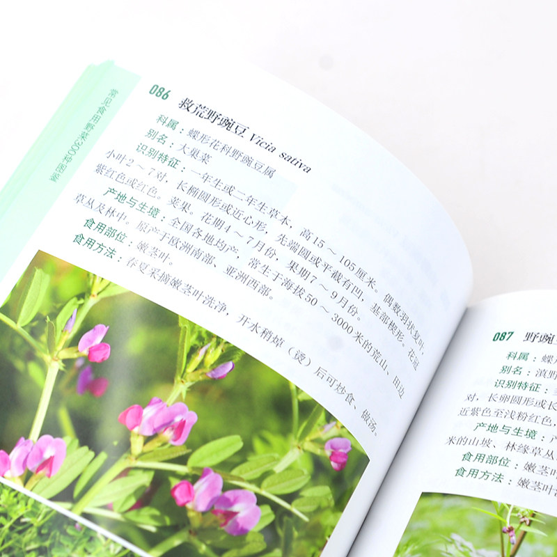常见食用野菜300种图鉴地上茎叶类地下根茎类食花类调味类食果类野菜名称科属分类识别特征鉴别技巧产地与生境食用部位食用方法书