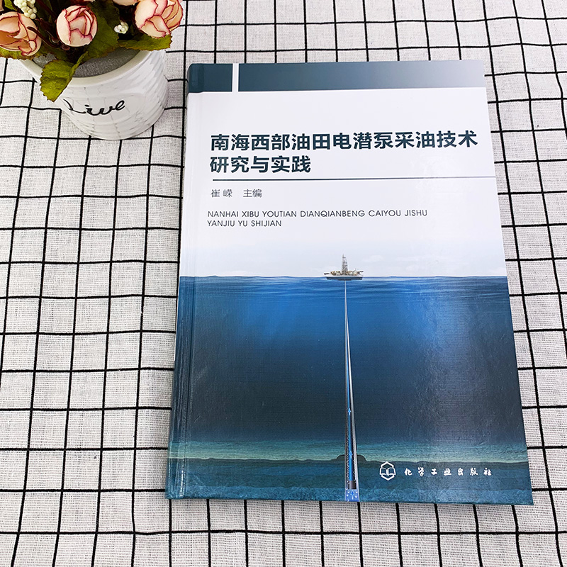 南海西部油田电潜泵采油技术研究与实践 以中海石油中国有限公司湛江分公司的电潜泵采油技术为主线 内容丰富通俗易懂紧密结合实际 - 图1