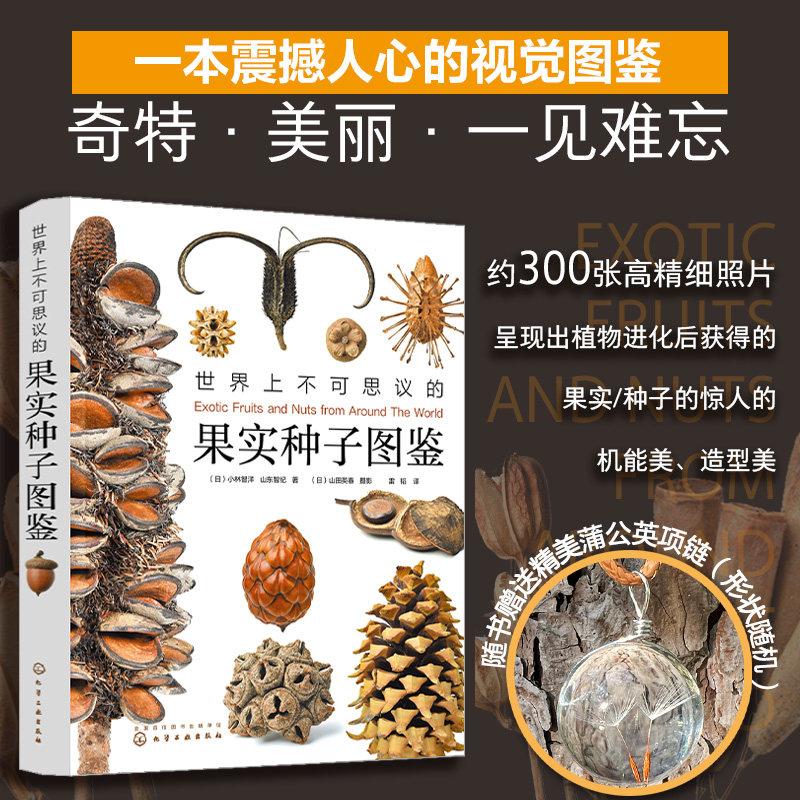 2册 世界上不可思议的果实种子图鉴 我的大自然观察笔记 植物观察笔记 名校小学生手绘思维观察训练 小学生课外自然植物科普读物