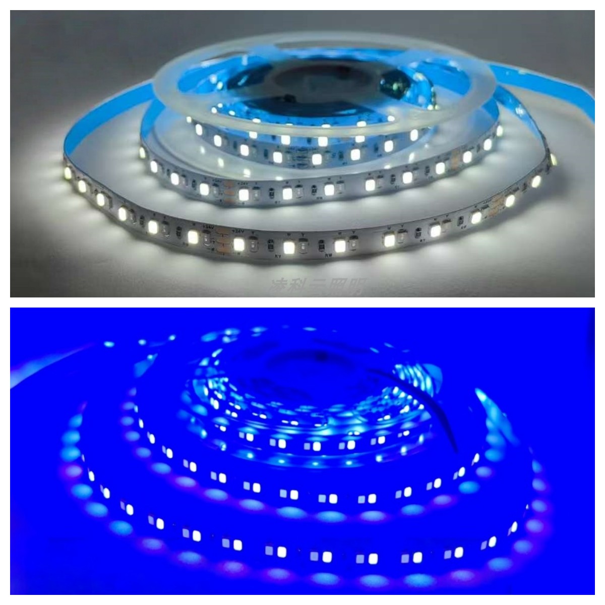 彩光双色24V2835裸板套管防水白蓝白光+蓝光双色LED灯带白色+蓝色,淘宝优惠券,粉丝福利购,淘宝优惠卷