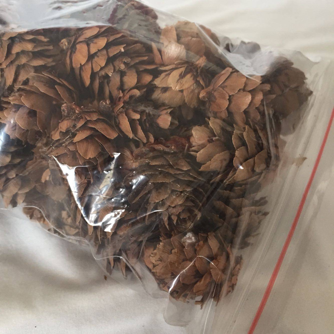 热销天然材料橡果帽橡子落叶松美人松果云杉松手工diy干花包装饰,淘宝优惠券,粉丝福利购,淘宝优惠卷