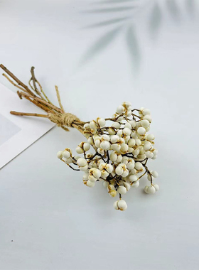 天然小白果乌桕果干花diy手作花环搭配花材白色薏米果小清新装饰
