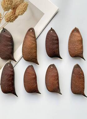 打孔音符豆荚苏木豆手工diy装饰植物果实 标本收藏相框装饰画干果