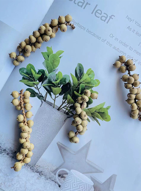 【永生红果】龙鳞果进口天然植物玻璃罩景观饰品圣诞红果装饰DIY