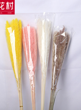 云南小芦苇干花花束染色彩色DIY花材家居装饰摆件跨境亚马逊欧美