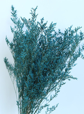 漂白情人草 彩色永生花 DIY插花花材 花束配花家居装饰客厅摆件