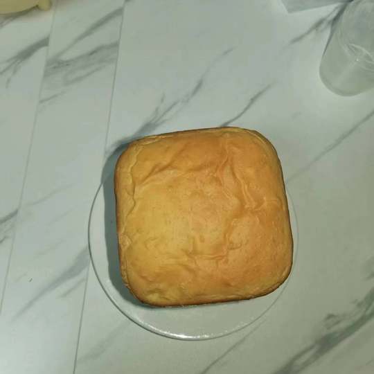 Donlim/东菱 XBM-1028面包机做面包揉面团发面都可以还可做果酱