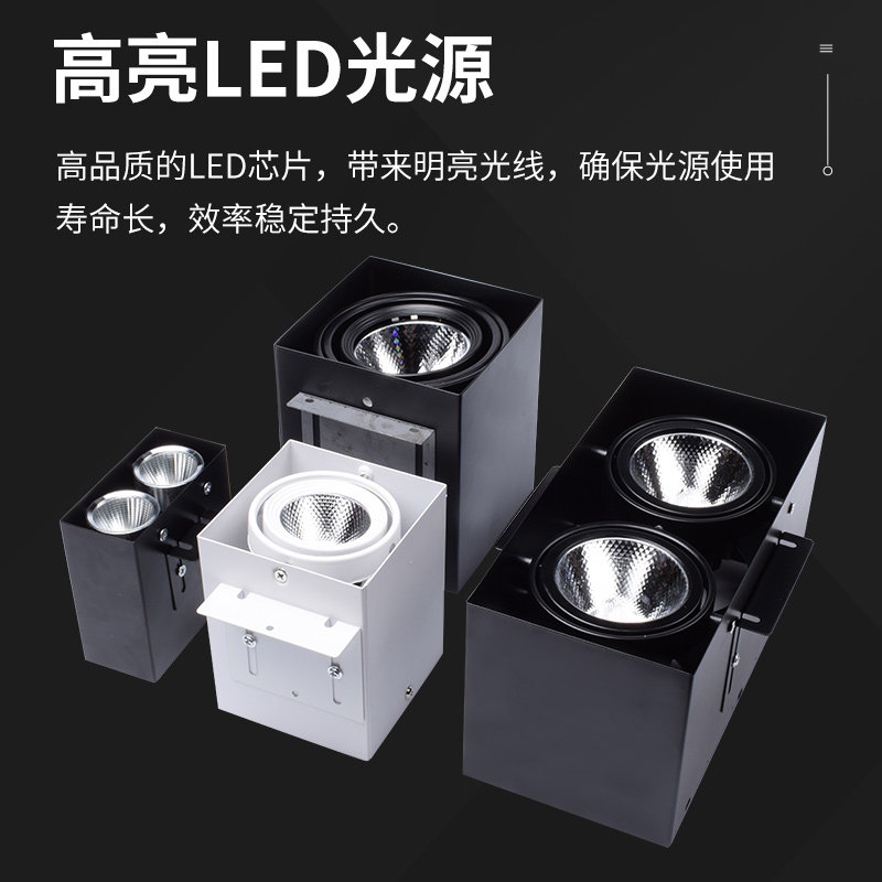 Square Tong Bold Lamp Square Tong Special Lamp Aluminum Wood Square Tong LED Square Double Head Surface Mounted Grille Downlight Spotlight Embedded