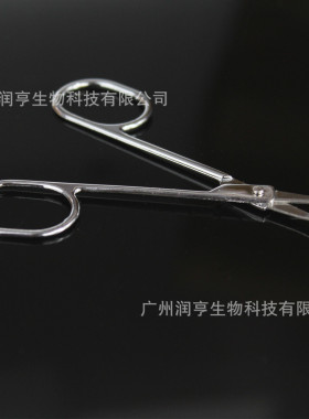 弯头眉剪美容剪鼻毛剪眉毛剪美容套配美容小剪刀加厚款厂家供应