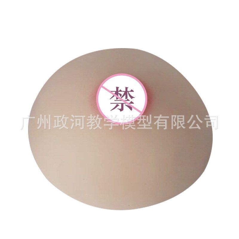 催乳师培训医学用软硅胶假乳房家政技校医院示范教学乳房模型教具,淘宝优惠券,粉丝福利购,淘宝优惠卷