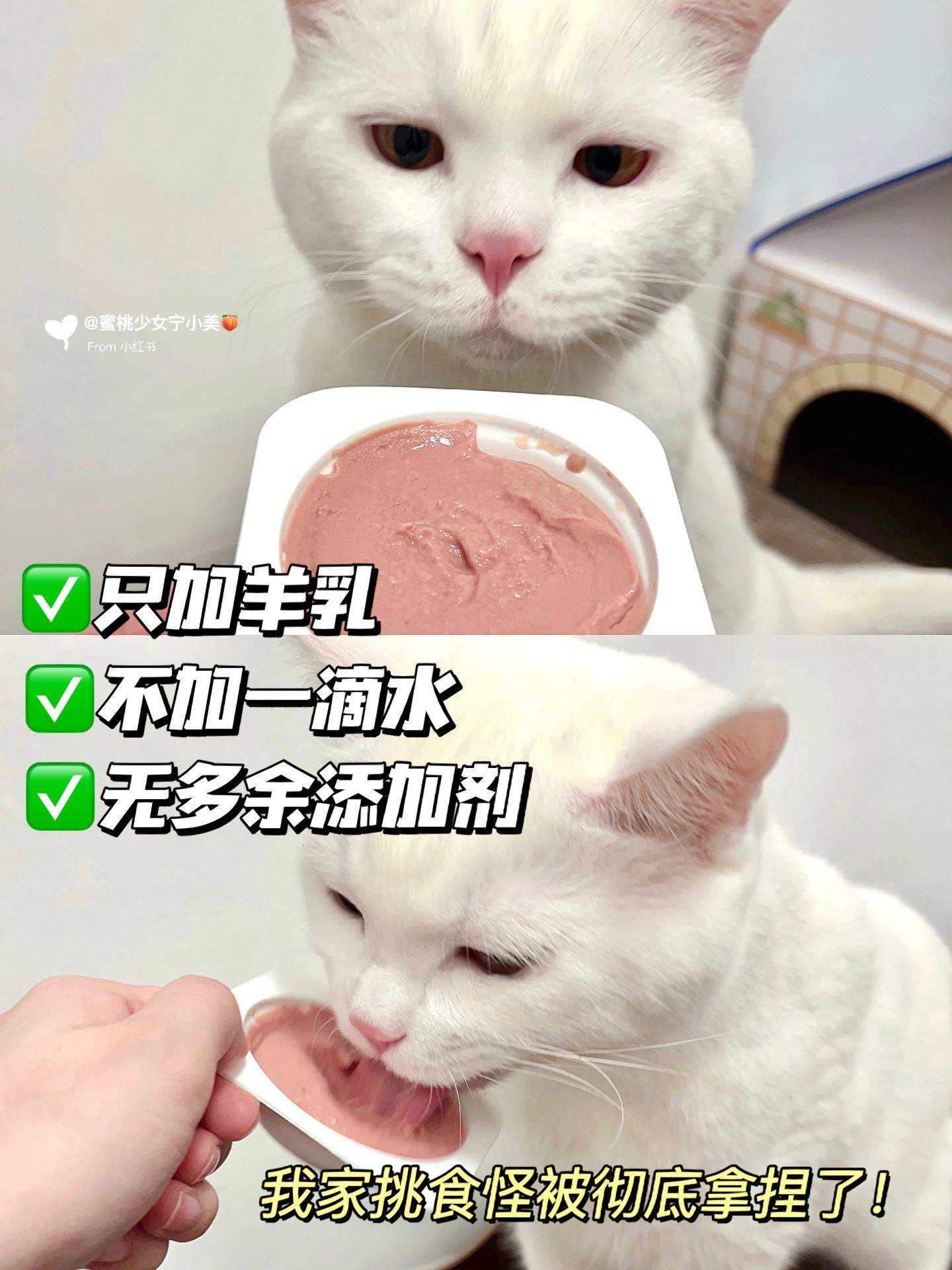 尾巴生活彩虹泥无谷主食罐幼猫成猫全价猫粮猫咪营养湿粮猫罐头,淘宝优惠券,粉丝福利购,淘宝优惠卷
