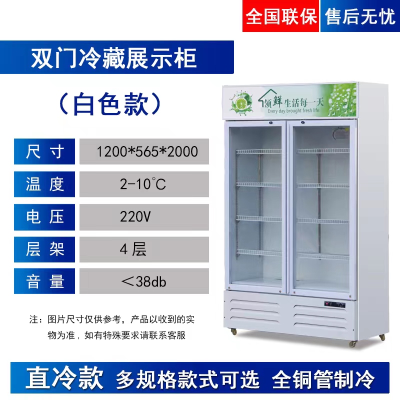 保鲜柜冷藏柜展示柜冰柜商用啤酒柜双门饮料柜三门冰箱立式冷冻柜-图0