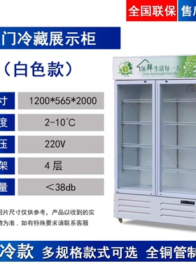 保鲜柜饮料柜商用冷柜展示冷藏柜