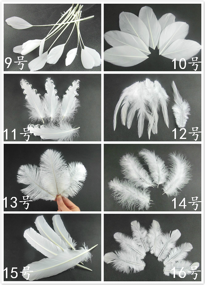 diy羽毛白色羽毛鹅毛火鸡羽毛 装饰婚庆舞台道具羽毛