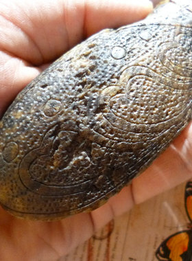 把件新疆和田玉籽料一鸣惊人把件