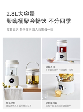 立时养生壶家用办公室保温花茶煮茶器大容量多功能烧水壶