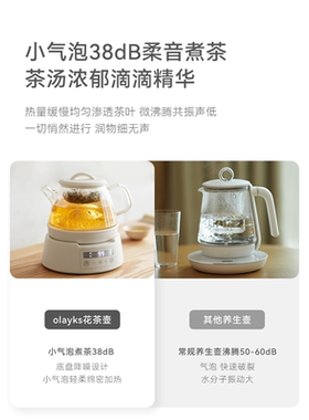 立时养生壶家用小型多功能花茶烧水壶办公室煮茶器烧水壶