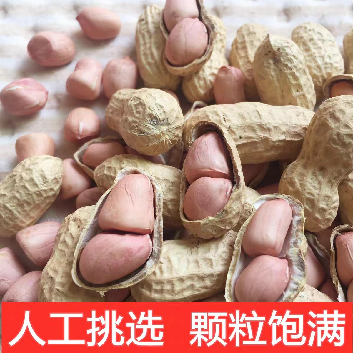带壳生花生新鲜晒干粉红皮花生果新货农家种植5斤装高产2025年