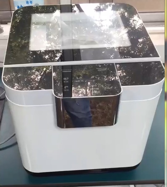 110V220V出口超声波水果蔬菜清洗机洗碗机去除农药消毒洗菜净化机