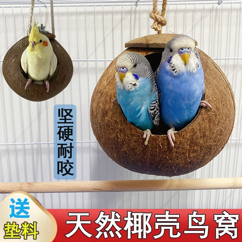 鹦鹉鸟窝玄凤虎皮防咬繁殖悬挂窝大玩具草窝睡窝文鸟巢牡丹椰子壳,淘宝优惠券,粉丝福利购,淘宝优惠卷
