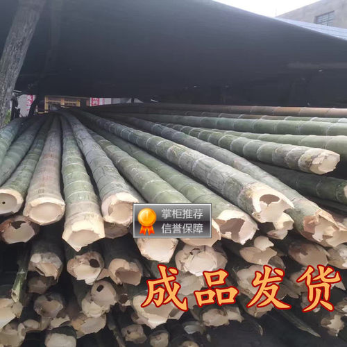 出售各种规格粗细大毛竹竹竿防腐竹杆菜园搭架竹竿篱笆竹子竹杆 - 图0
