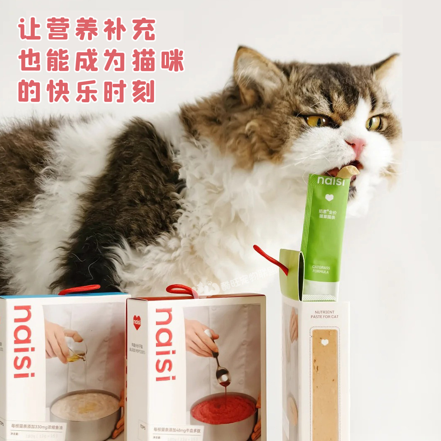 naisi奶思猫条鱼油主食条猫草牛血全价功能营养成幼猫湿粮猫零食,淘宝优惠券,粉丝福利购,淘宝优惠卷
