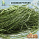 Dry Timothy Grass Dragon Gansu Beiti Rabbit Tender Grass