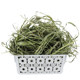 Gansu North Grass Industry Timothy Grass Rabbit Food Rabbit Feed
